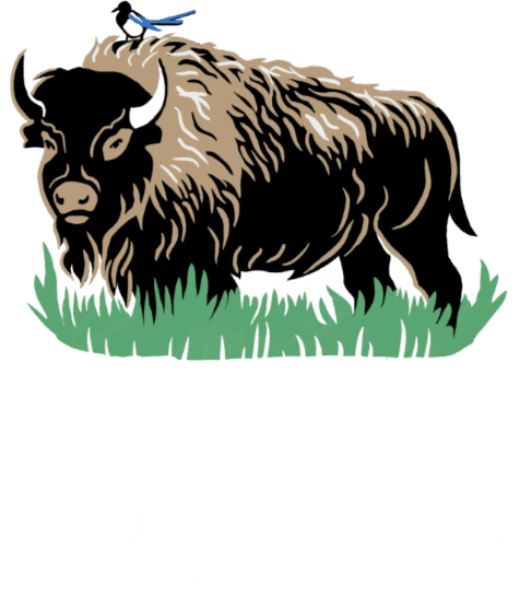 Montana Yellowstone Tours