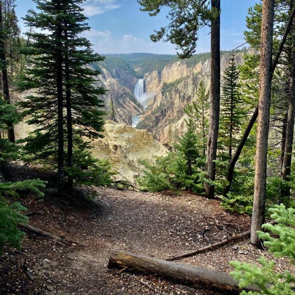 Yellowstone's Trail Systems