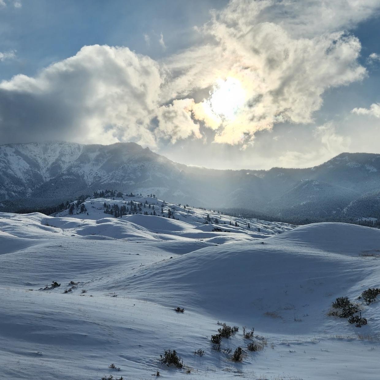 Yellowstone in The Winter