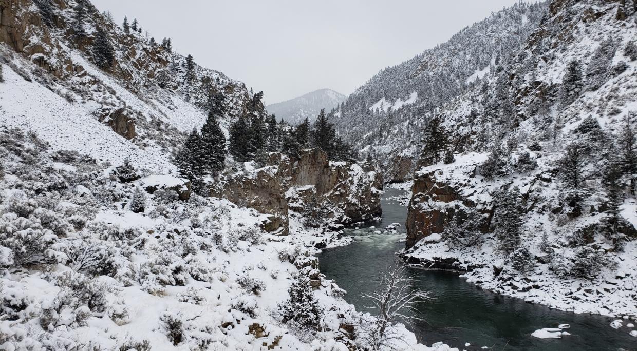 Yellowstone in the Winter