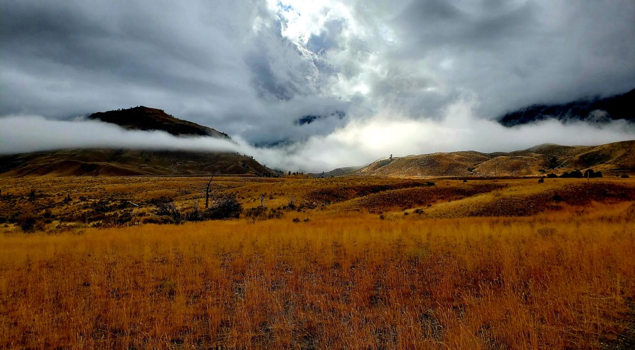 Learn about wildlife while spotting with a scope