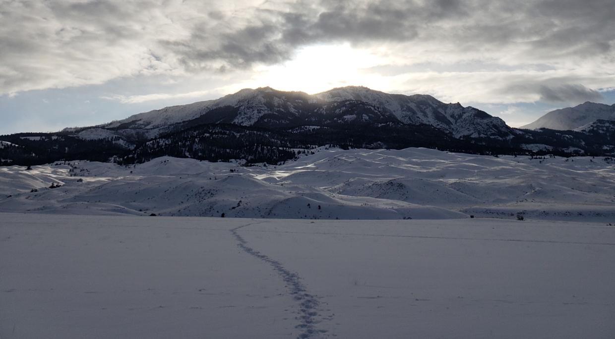Yellowstone Snowy Destination