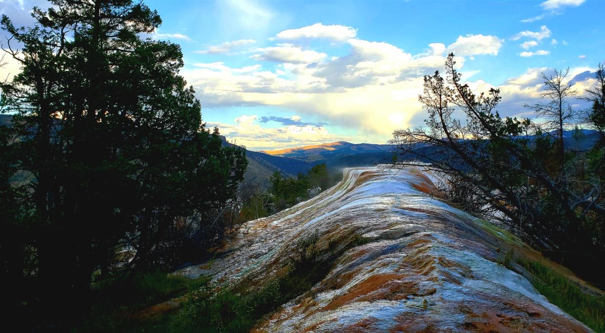 Canyon in Yellowstone