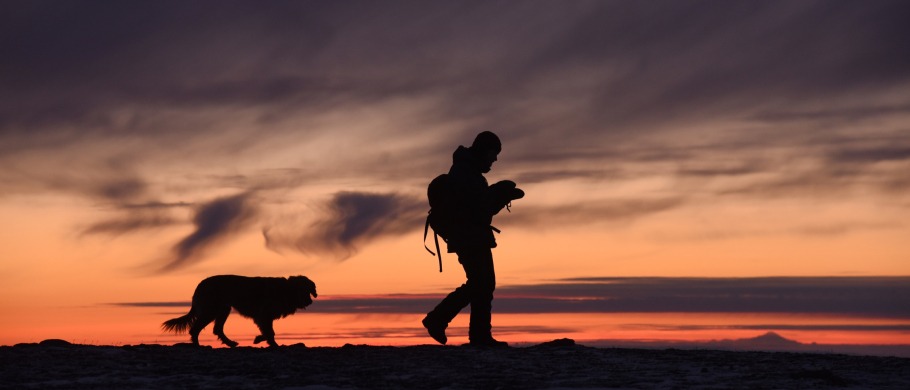 Man and is Dog Take a Dawn Hiking Tour