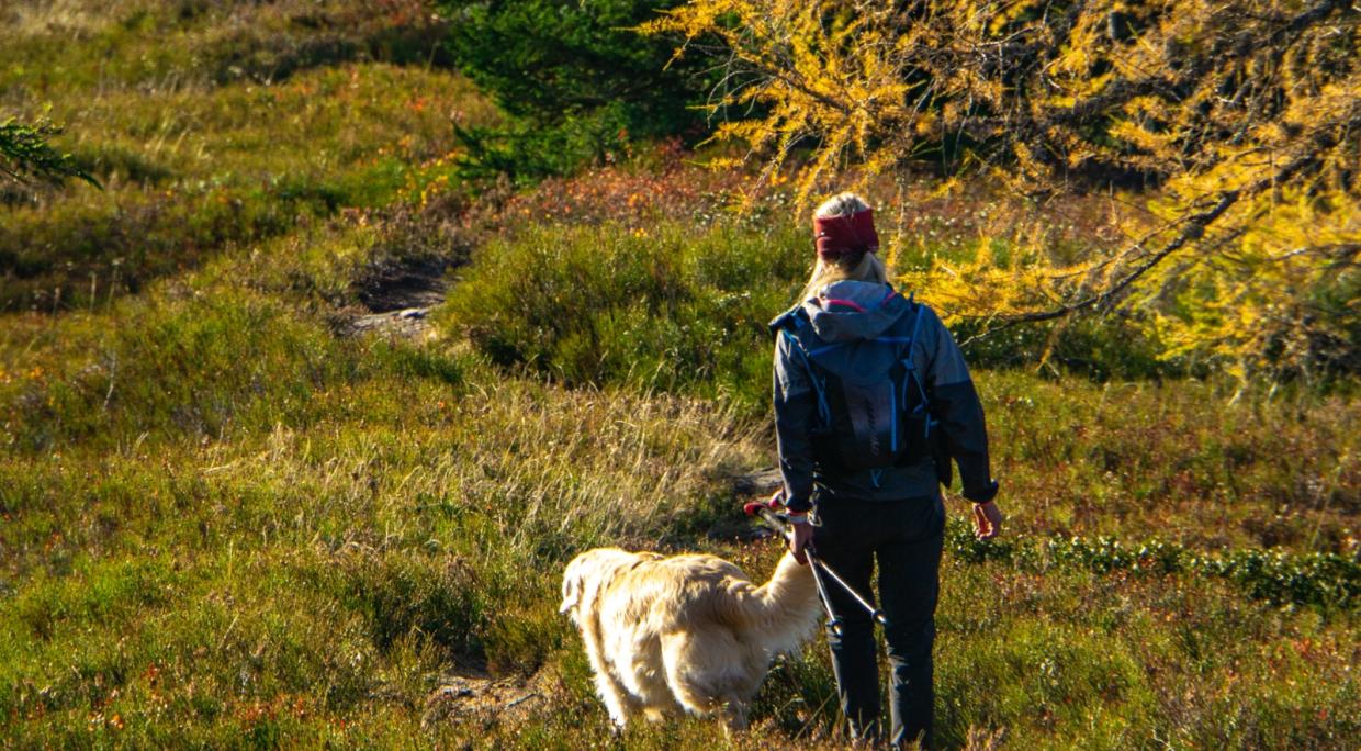 Hiking in the Custer Gallatin