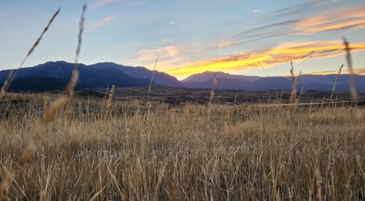 GYE Half-Day Hiking Tour Customer